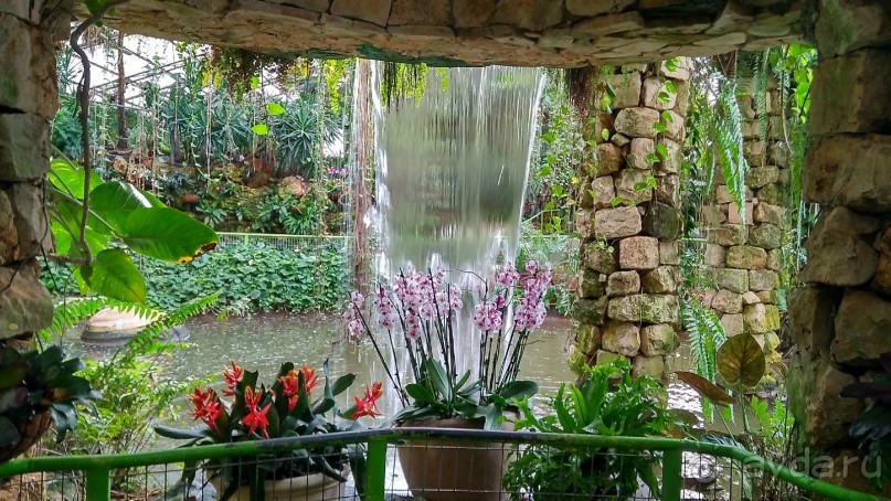 Шалом, Израиль! Часть 8. Парк орхидей "Утопия".