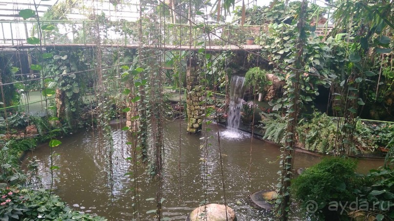 Шалом, Израиль! Часть 8. Парк орхидей "Утопия".