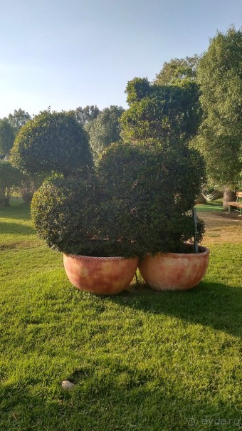 Шалом, Израиль! Часть 8. Парк орхидей "Утопия".