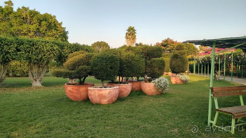 Шалом, Израиль! Часть 8. Парк орхидей "Утопия".