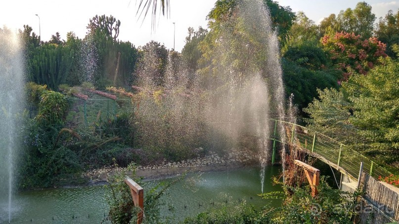 Шалом, Израиль! Часть 8. Парк орхидей "Утопия".