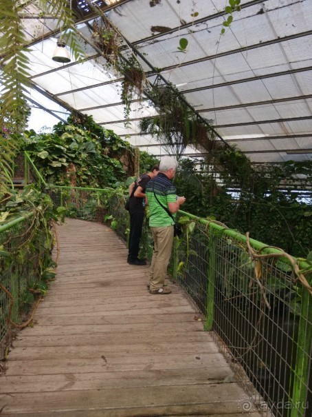 Шалом, Израиль! Часть 8. Парк орхидей "Утопия".