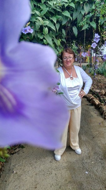 Шалом, Израиль! Часть 8. Парк орхидей "Утопия".