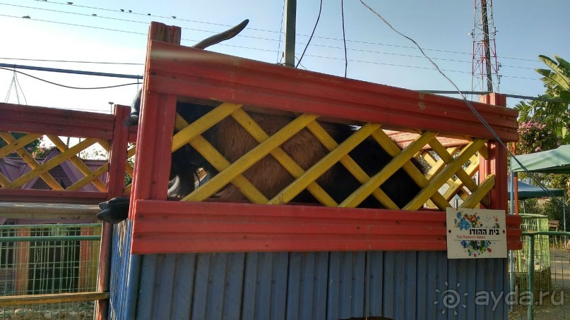 Шалом, Израиль! Часть 8. Парк орхидей "Утопия".