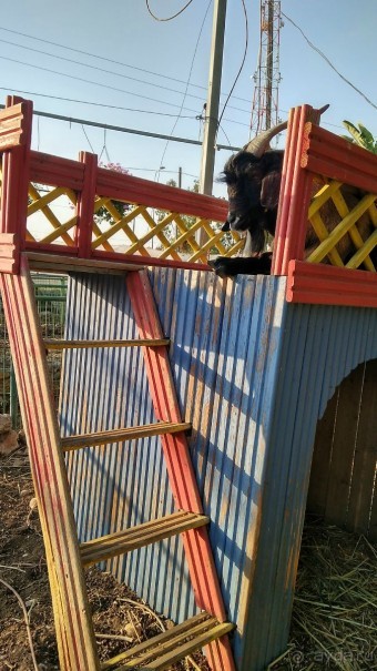 Шалом, Израиль! Часть 8. Парк орхидей "Утопия".