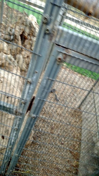 Шалом, Израиль! Часть 8. Парк орхидей "Утопия".