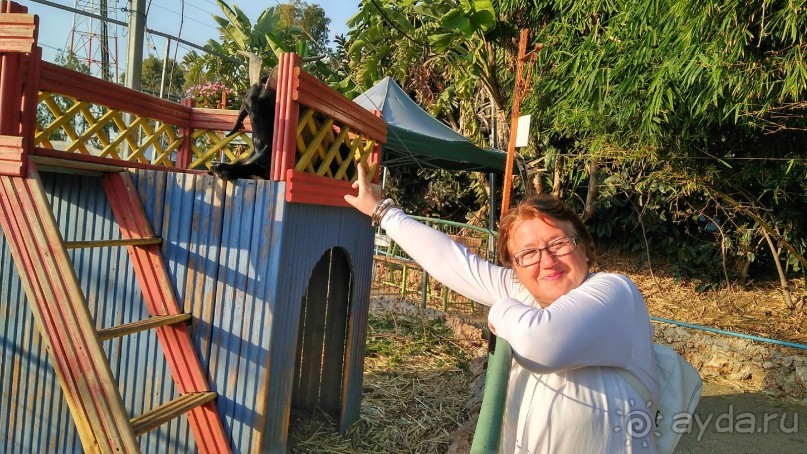 Шалом, Израиль! Часть 8. Парк орхидей "Утопия".