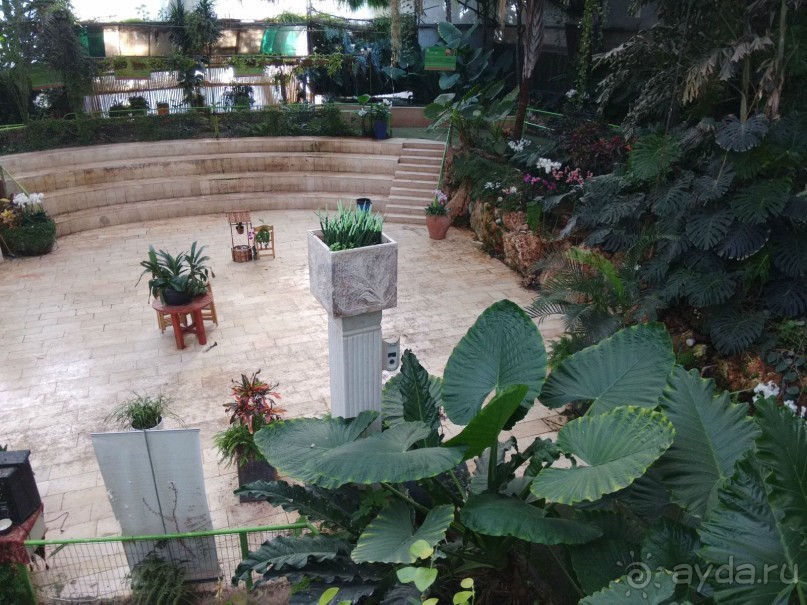 Шалом, Израиль! Часть 8. Парк орхидей "Утопия".