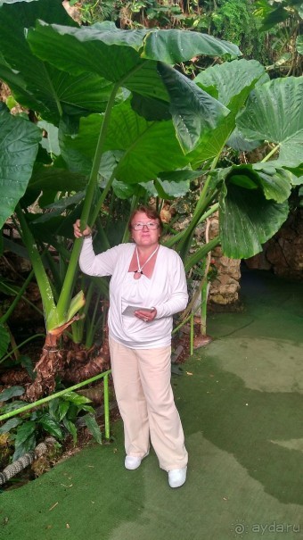 Шалом, Израиль! Часть 8. Парк орхидей "Утопия".