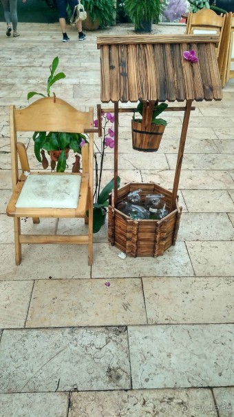 Шалом, Израиль! Часть 8. Парк орхидей "Утопия".