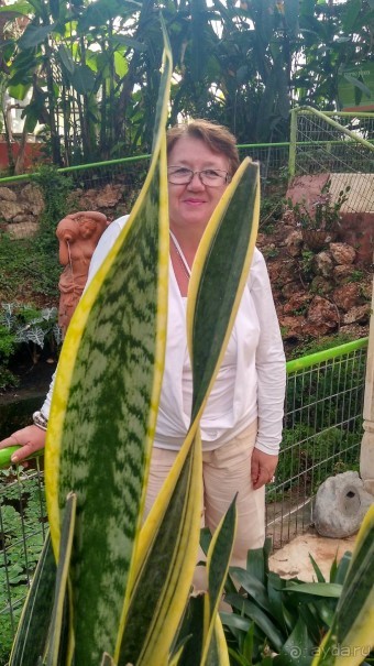 Шалом, Израиль! Часть 8. Парк орхидей "Утопия".