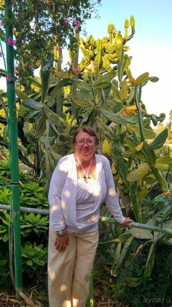 Шалом, Израиль! Часть 8. Парк орхидей "Утопия".