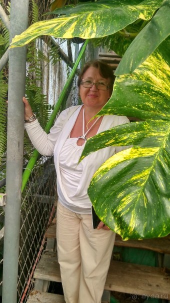 Шалом, Израиль! Часть 8. Парк орхидей "Утопия".