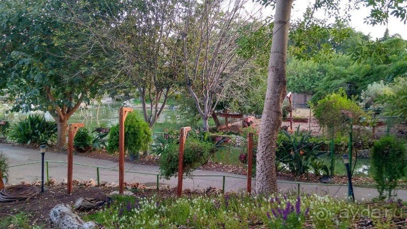 Шалом, Израиль! Часть 8. Парк орхидей "Утопия".