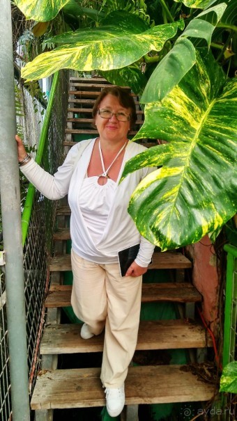 Шалом, Израиль! Часть 8. Парк орхидей "Утопия".