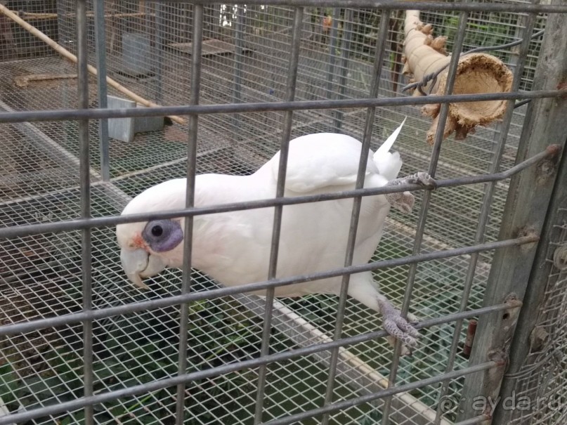 Шалом, Израиль! Часть 8. Парк орхидей "Утопия".