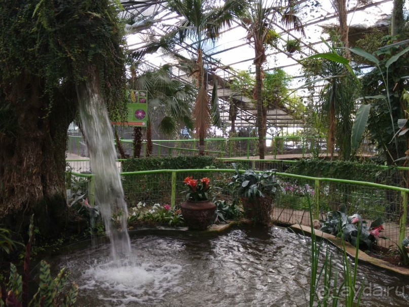 Шалом, Израиль! Часть 8. Парк орхидей "Утопия".