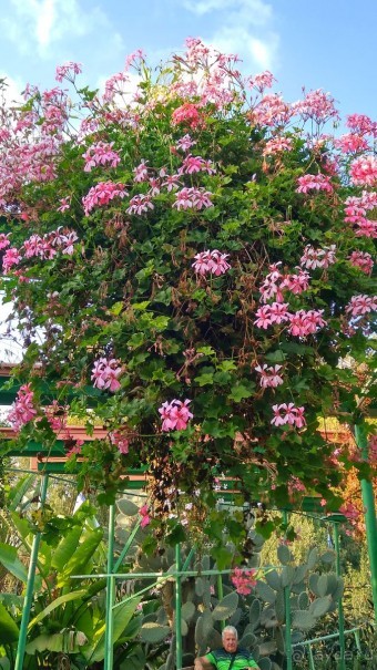 Шалом, Израиль! Часть 8. Парк орхидей "Утопия".