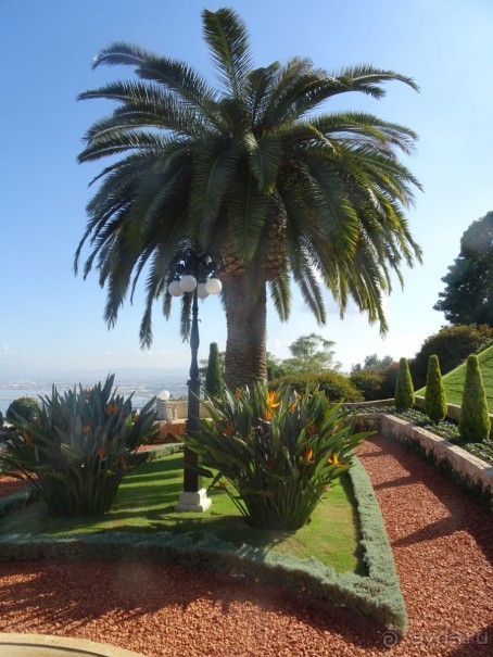 Альбом отзыва "Шалом, Израиль! Часть 6. Хайфа (Бахайские сады), Акко, гроты Рош-а-НикрА."