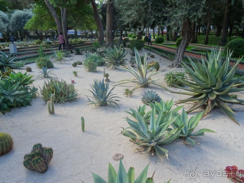 Шалом, Израиль! Часть 6. Хайфа (Бахайские сады), Акко, гроты Рош-а-НикрА.