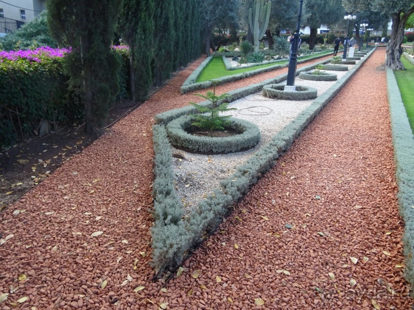 Альбом отзыва "Шалом, Израиль! Часть 6. Хайфа (Бахайские сады), Акко, гроты Рош-а-НикрА."