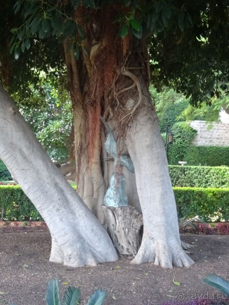 Альбом отзыва "Шалом, Израиль! Часть 6. Хайфа (Бахайские сады), Акко, гроты Рош-а-НикрА."