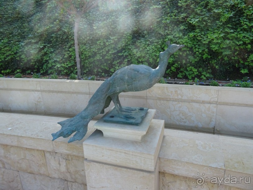 Альбом отзыва "Шалом, Израиль! Часть 6. Хайфа (Бахайские сады), Акко, гроты Рош-а-НикрА."