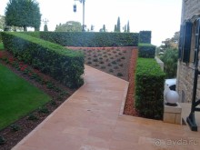 Альбом отзыва "Шалом, Израиль! Часть 6. Хайфа (Бахайские сады), Акко, гроты Рош-а-НикрА."