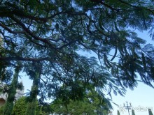 Шалом, Израиль! Часть 6. Хайфа (Бахайские сады), Акко, гроты Рош-а-НикрА.