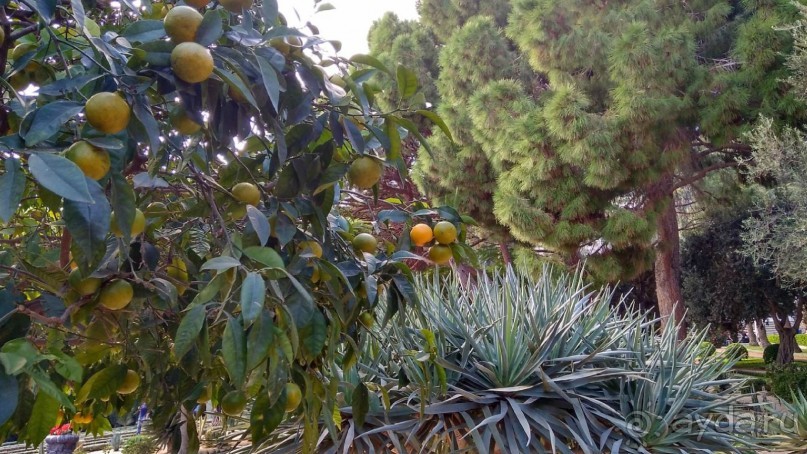 Шалом, Израиль! Часть 6. Хайфа (Бахайские сады), Акко, гроты Рош-а-НикрА.