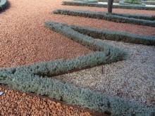 Альбом отзыва "Шалом, Израиль! Часть 6. Хайфа (Бахайские сады), Акко, гроты Рош-а-НикрА."