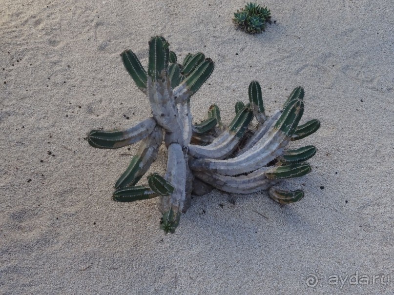Шалом, Израиль! Часть 6. Хайфа (Бахайские сады), Акко, гроты Рош-а-НикрА.