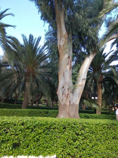 Шалом, Израиль! Часть 6. Хайфа (Бахайские сады), Акко, гроты Рош-а-НикрА.