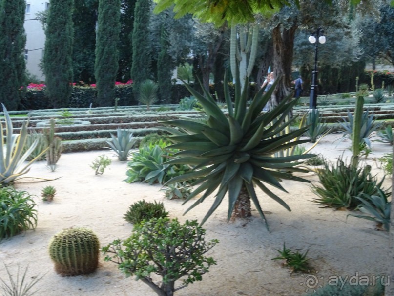 Шалом, Израиль! Часть 6. Хайфа (Бахайские сады), Акко, гроты Рош-а-НикрА.