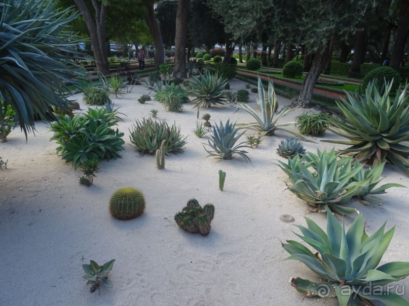 Шалом, Израиль! Часть 6. Хайфа (Бахайские сады), Акко, гроты Рош-а-НикрА.