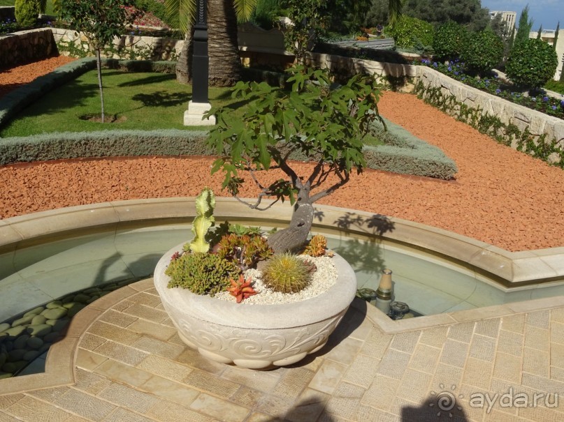 Шалом, Израиль! Часть 6. Хайфа (Бахайские сады), Акко, гроты Рош-а-НикрА.