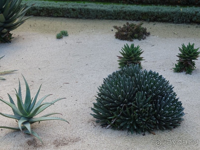 Шалом, Израиль! Часть 6. Хайфа (Бахайские сады), Акко, гроты Рош-а-НикрА.