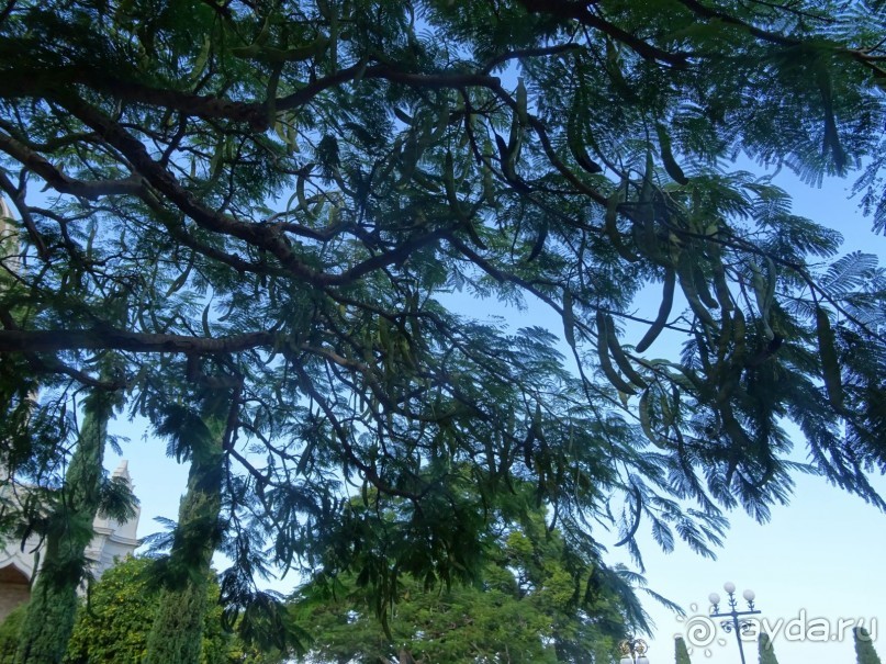 Шалом, Израиль! Часть 6. Хайфа (Бахайские сады), Акко, гроты Рош-а-НикрА.