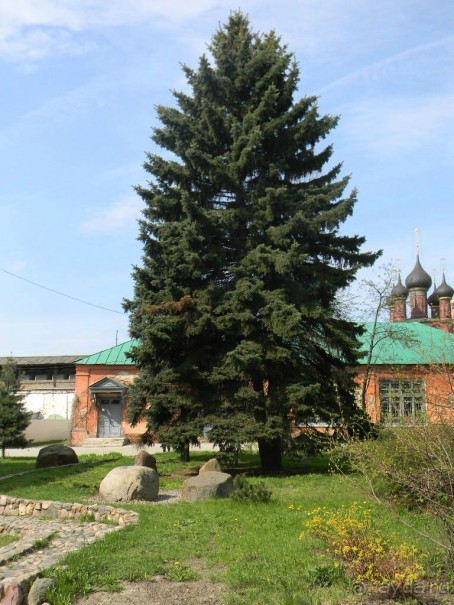 На автомобиле по Золотому кольцу.  Ярославль-Кострома. Часть 1-Ярославль.