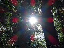 Дворцово-парковый ансамбль Царицыно в Москве