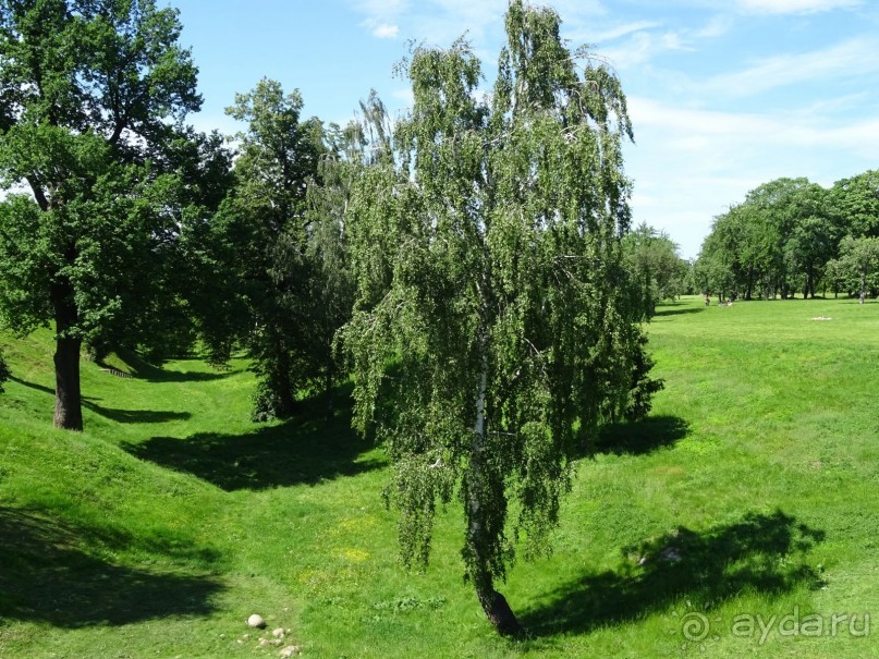 Дворцово-парковый ансамбль Царицыно в Москве Дворцово-парковый ансамбль Царицыно в Москве