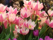 Альбом отзыва "Весна идет - весне дорогу!!!  (Отзыв для милых дам)."