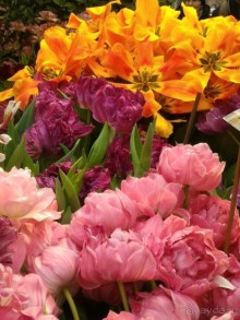 Альбом отзыва "Весна идет - весне дорогу!!!  (Отзыв для милых дам)."