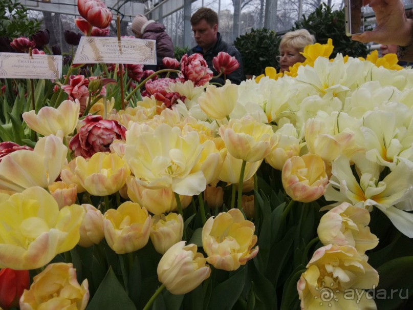 Весна идет - весне дорогу!!!  (Отзыв для милых дам).