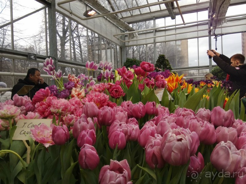 Весна идет - весне дорогу!!!  (Отзыв для милых дам).