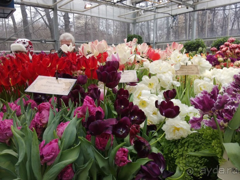 Весна идет - весне дорогу!!!  (Отзыв для милых дам).