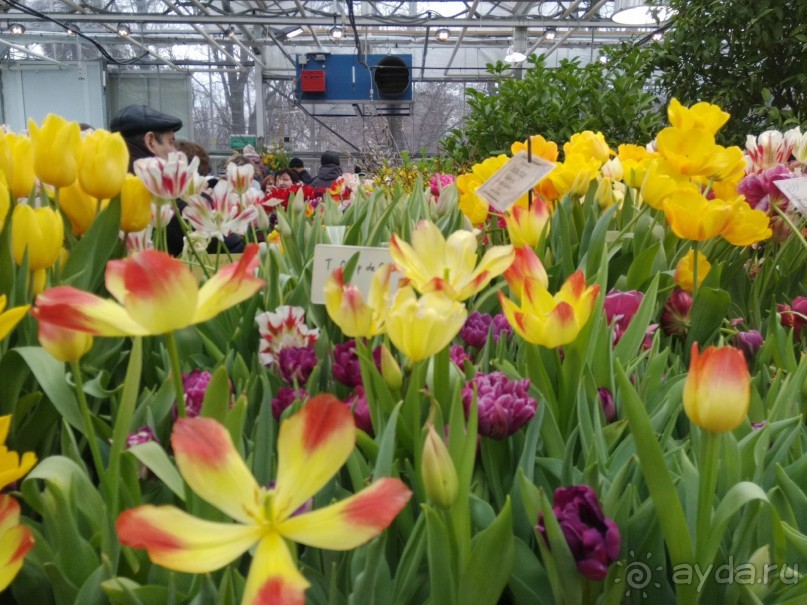 Весна идет - весне дорогу!!!  (Отзыв для милых дам).