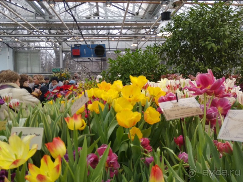 Весна идет - весне дорогу!!!  (Отзыв для милых дам).