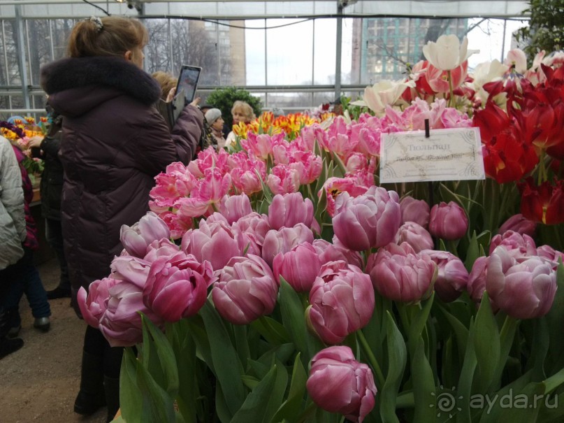 Весна идет - весне дорогу!!!  (Отзыв для милых дам).