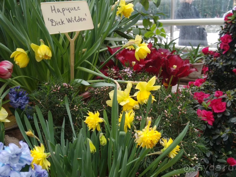 Весна идет - весне дорогу!!!  (Отзыв для милых дам).